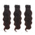 Indian Curly Hair Bundle Deal